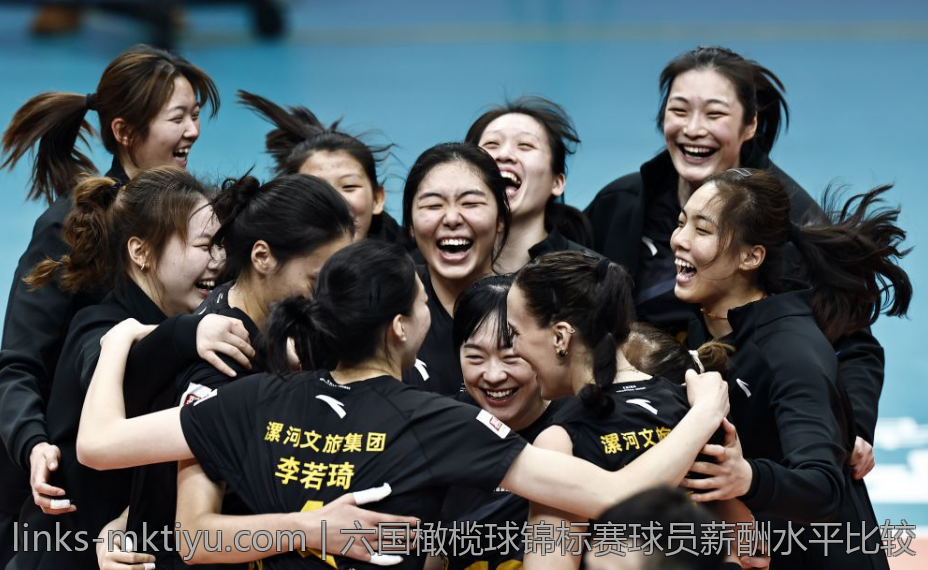 六国橄榄球锦标赛球员薪酬水平比较