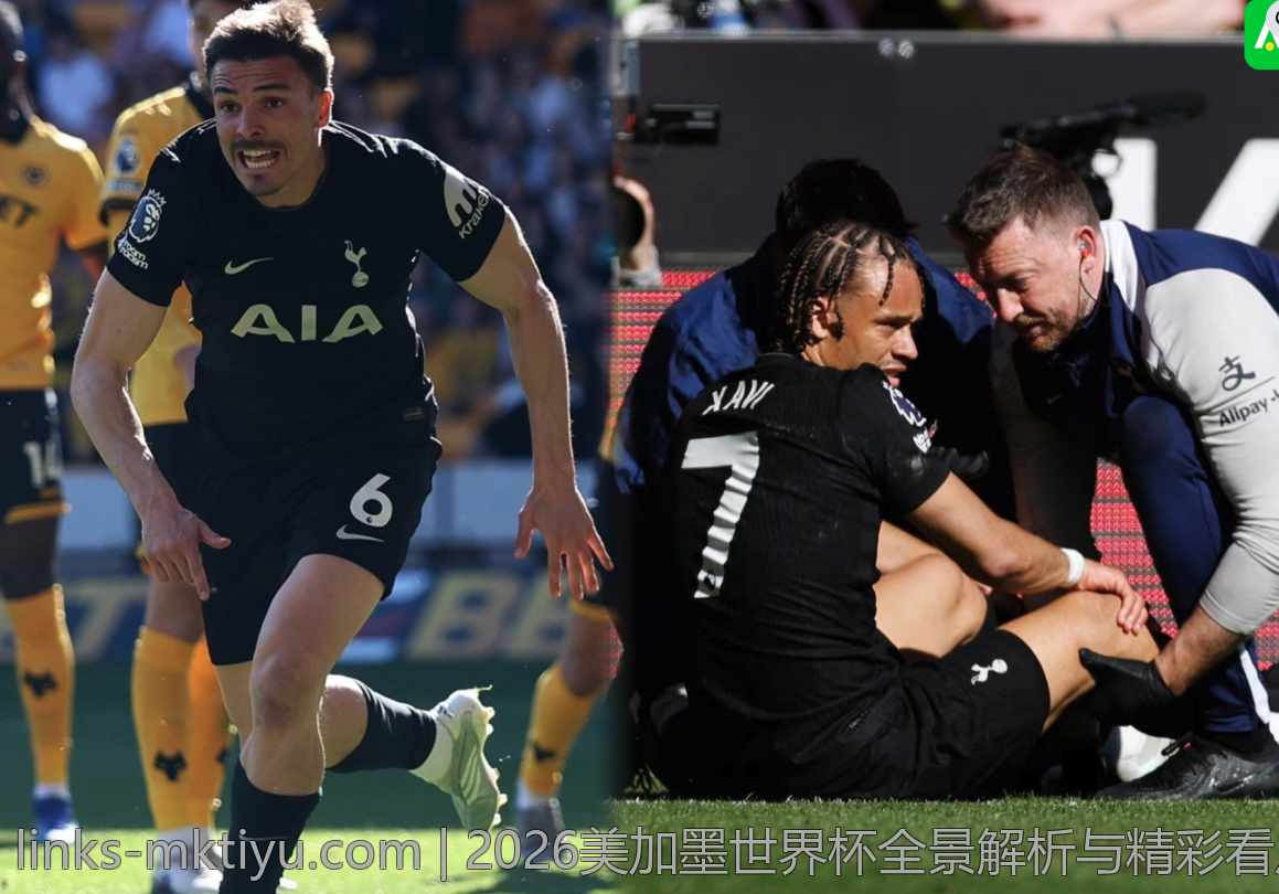 2026美加墨世界杯全景解析与精彩看点